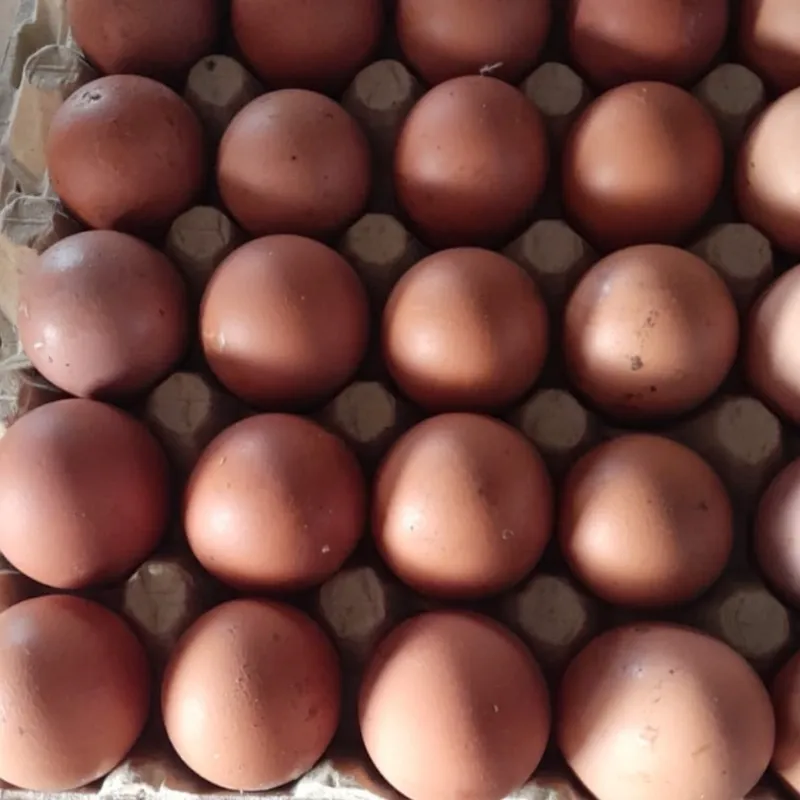 Huevos Caseros - 1