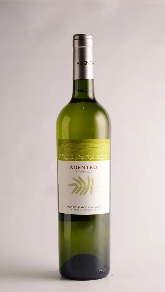 ADENTRO TORRONTES 2023