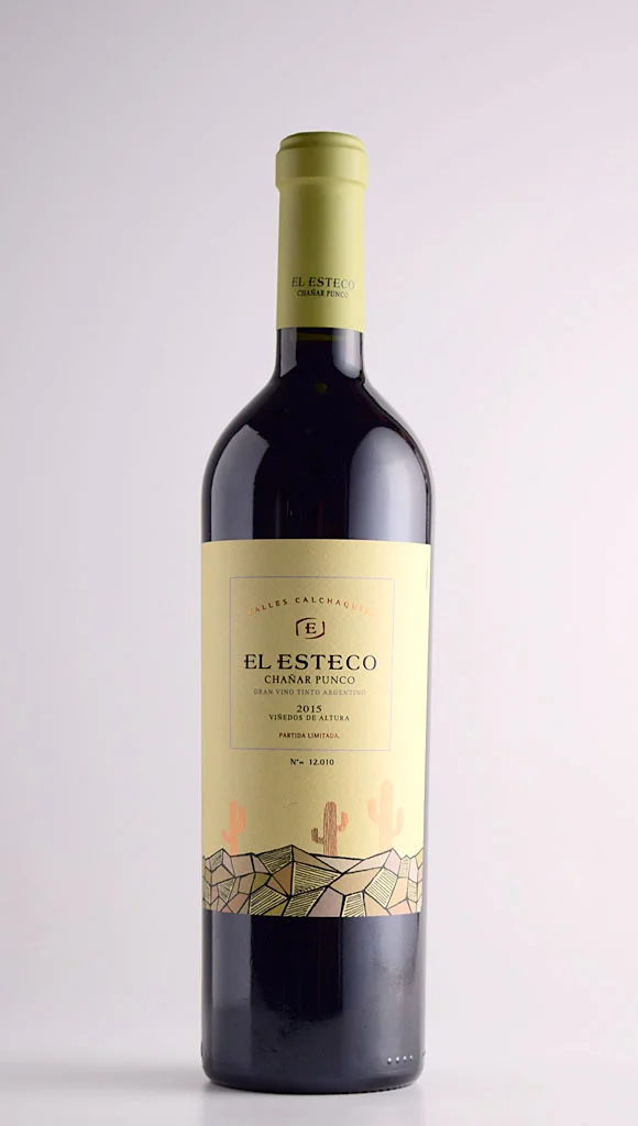 Esteco Chañar Punco 2015
