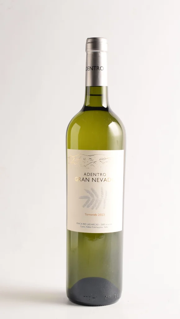 ADENTRO GRAN NEVADO TORRONTES 2023
