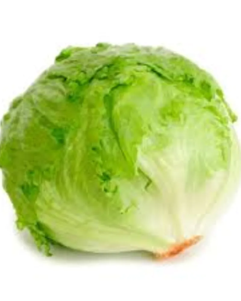 Lechuga 