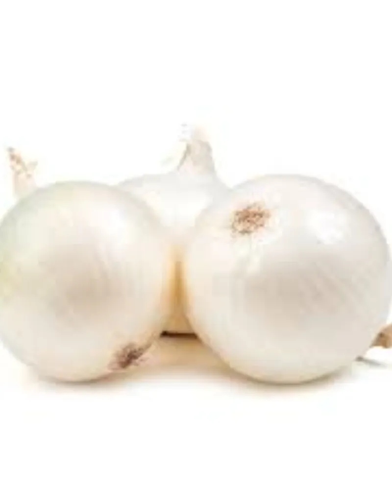 Cebolla Blanca 