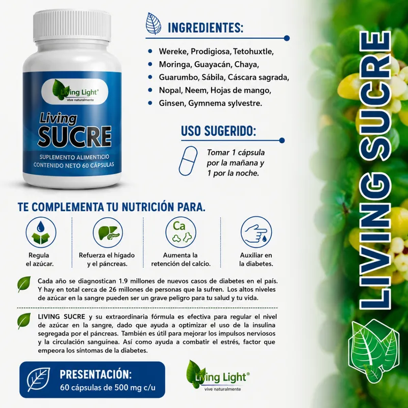 Sucre - 2