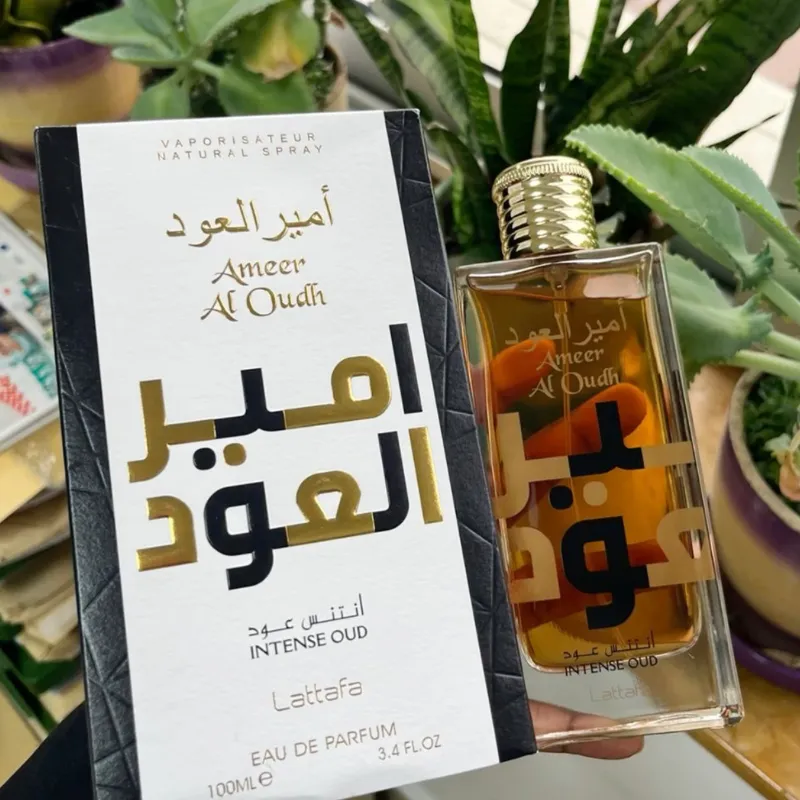 Ameer Al Oudh