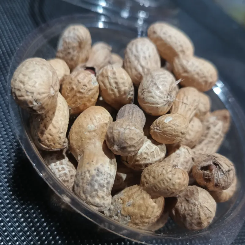 Maní Con CáScara X100gr