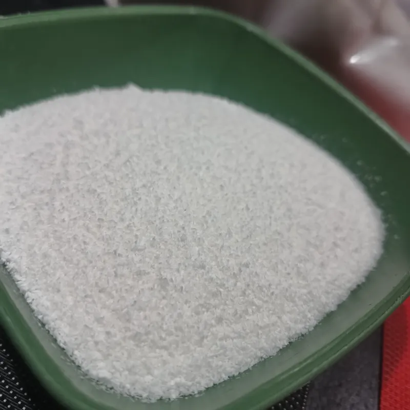 Coco Rallado X100gr